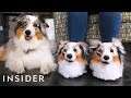 Custom Slippers Look Identical To Your Pet