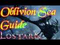 Lost Ark - Oblivion Sea Guide - Payton Void Guide (1/3) Normal Mode!
