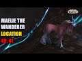 Maelie the Wanderer WoW Location 49 41