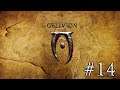 TES IV: Oblivion. #14 (Стрим)