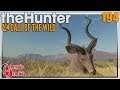 The Hunter Call of the Wild ★ In Afrika mit den neuen Gewehren auf Kudu und Spiessbock