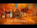 THE WITNESS [PS4] GAMEPLAY ESPAÑOL 🌇