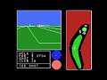 3D Golf Simulation / 3-D Golf Simulation (MSX)