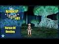 Actual Let's Play: Iruna Online #61 - Forest of Destiny