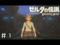 【女性実況】ゼルダ初プレイの女が往く、ゼルダの伝説BotW #1
