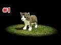 ОБЗОР ИГРЫ !!! CAT simulator onlain 1 серия
