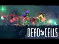 Dead Cells Stream - Cluster Grenade showcase run (5 boss cells active)
