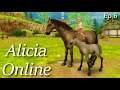 My Very First Foal! | Alicia Online Ep 6