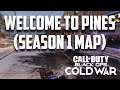 Season 1 BLACK OPS COLD WAR: Domination on Pine Map (Bad or Good MAP)