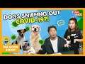 Your Dog Can Detect If You Have Covid-19?! | The Good Scoop Ep 7