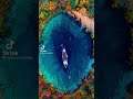 female whales live for life in the Eunas springs in Croatia #shorts #whale