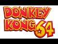 Hideout Helm (0 Blueprints Variation) - Donkey Kong 64