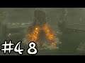 Let's Play Legend of Zelda: Breath of the Wild - Part 48: Shrine-a-thon