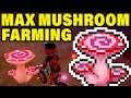 Max Mushroom Farming Run! Pokemon Isle of Armor Gameplay!