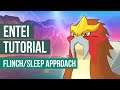 Pokémon Masters EX - Entei Part 3 Flinch/Sleep Chain Tutorial (How to Defeat Entei VH)