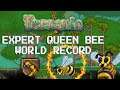 Terraria Expert Queen Bee WORLD RECORD! (6:48)