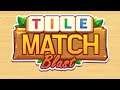 Tile Match Blast - New Block Puzzle Gameplay Android Mobile