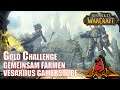 World of Warcraft Gold Challenge Vesariius Gamerstube Gemeinsam Farmen