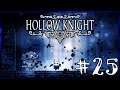 #25 Hollow Knight - Воин душ