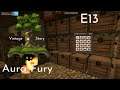 Aura Fury Vintage Story Server E13  - Adventure Beyond the Translocator