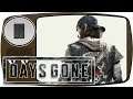 Days Gone 🏍 Let's Play Gameplay PS4 Pro #11 Hier muss irgendwo ein Nest sein - Deutsch German