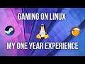 My Experience Of Gaming On Linux For An Entire Year (2020)