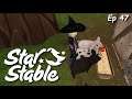 Helping Out At Jorvik Stables | Star Stable Online Ep 47