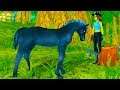 Training A Lost Foal!! A New Horse on Star Stable Online Game Video