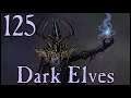 Warsword Conquest - Dark Elves E125 (Warband Mod)