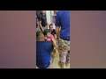 مساعي لتحرير طفلة حشرت في أسطوانة غاز