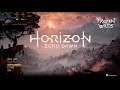 Horizon Zero Dawn PC Version - 1080p Ultra 60fps - RTX 2060 Super + Ryzen 7 3800x + 16 GB RAM