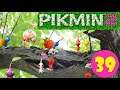 Pikmin 2 [100%] - Part 39 - NES-Zubehör in der Boss-Run-Höhle [German]