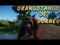 PLANET ZOO - EP 8 - O GRANDE PRIMATA DA ÁSIA - (MODO FRANQUIA) [PT-BR]