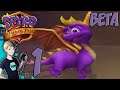 Spyro A Hero's Tail BETA GAMEPLAY - Part 1: SPYRO BREAKS HIS NECK MYSTERY SOLVED!