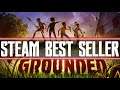 Grounded Becomes Best-Seller On Steam