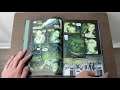 Immortal Hulk Vol 1 by Ewing Overview