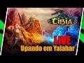 LIVE Upando em Yalahar Tibia OTS Latinum - Druid Lvl 50