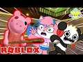 PIGGY ESCAPE ! Roblox Piggy Let’s Play with Combo Panda and Alpha Lexa