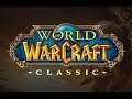 Classic WoW...PvP Enemy Alert using Vanaskos addon plus Target of target
