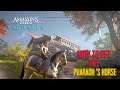 How to Get Free Reda Pharaoh 's Horse (Paid items for FREE) in - Assassin's Creed Valhalla