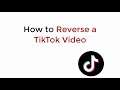 How to Reverse a TikTok Video Android/iPhone (2021)