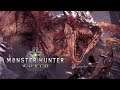 MHW - Guide: Connection