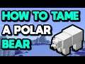 Minecraft How To Tame A Polar Bear