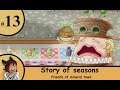 Story of seasons friends of mineral town Ep13 the drink off -Strife Plays