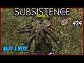 Subsistence - What a Mess  ep434 - Base building| survival games| crafting