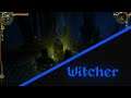 Witcher I: Episode 22