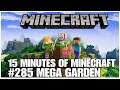 #285 Mega garden, 15 minutes of Minecraft, PS4PRO, gameplay, playthrough