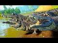 A História do Bebê Deinosuchus! Meus Pais Me Forçaram a Comer Outro Cr... Vo..! The Isle Dinossauros