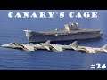 CMO: Canary's Cage: Ep24