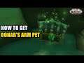 How to get Oonar's Arm Pet WoW